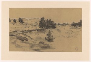 Paysage de dunes