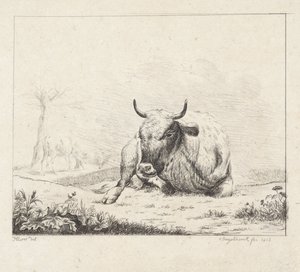 Vache couchée