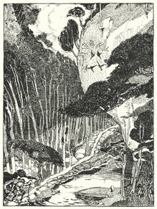 La Forêt sombre