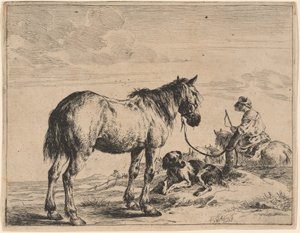 Un cheval attaché à un poteau avec un chien couché