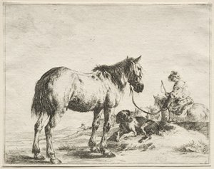 Un cheval attaché à un poteau