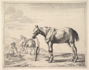 Cheval attaché à un poteau, tourné à gauche - Dirck Stoop