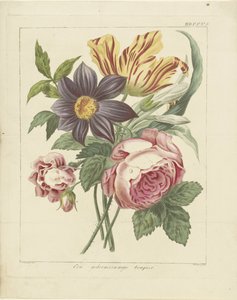 Bouquet de fleurs avec pivoine et tulipe
