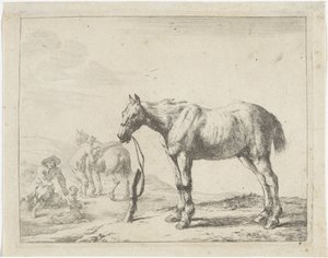 Cheval attaché à un poteau, vers la gauche - Dirk Stoop