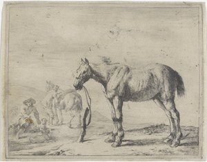 Cheval attaché à un poteau, vers la gauche - Dirk Stoop