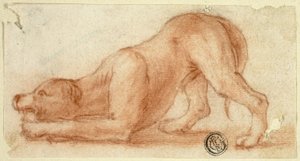 Chien à fourrure qui saute - Dirk Valkenburg
