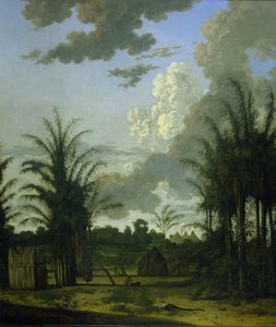 Plantation au Suriname - Dirk Valkenburg