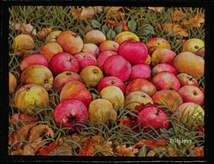 Pommes de Durnitzhofer, 1993 - Ditz