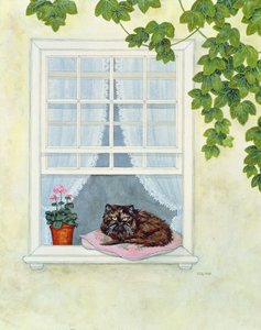 Le chat de Pam