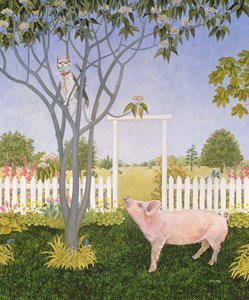 Cochon et chat