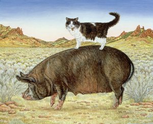 Balade à dos de cochon à Breteche Creek - Ditz