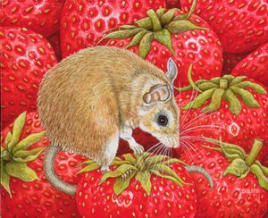 Souris-Fraise