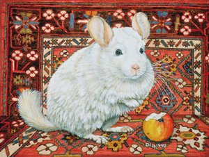 Le tapis-chinchilla, 1992
