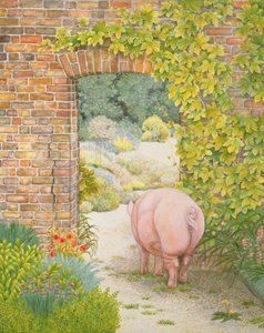 Le cochon du jardin du couvent