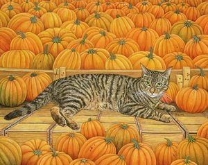La Citrouille-Chat