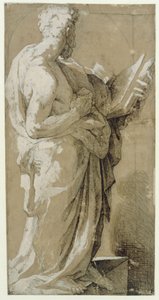 Apôtre - Domenico Beccafumi