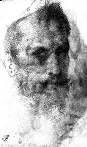 Homme barbu