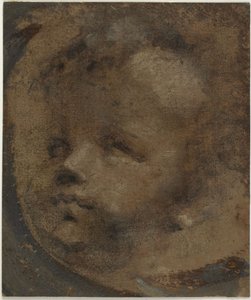 Tête de putto - Domenico Beccafumi