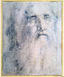 Étude de la tête d