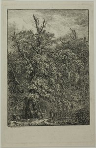 Grand arbre - Domenico Quaglio