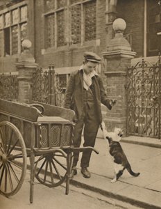 Un des métiers les mieux établis : Un client et le marchand de viande pour chats, vers 1935 - Donald McLeish