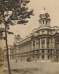 Les cerveaux de la défense : Bureau de la guerre britannique à Whitehall - Donald McLeish