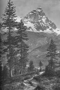 Le Cervin du côté italien, Forêt de Brueil, 1917 - Donald McLeish