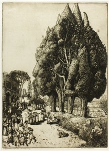 Bosquet de cyprès