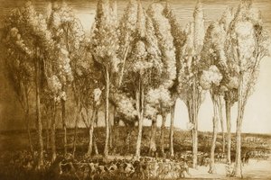 La danse du printemps - Donald Shaw MacLaughlan