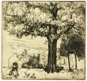 Le grand chêne - Donald Shaw MacLaughlan