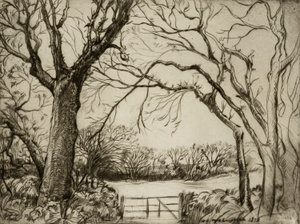 Tragenna Wood - Donald Shaw MacLaughlan