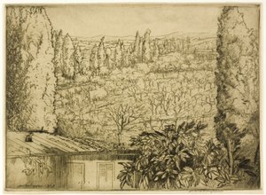 Toscane - Donald Shaw MacLaughlan