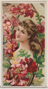 Azalée : Attraction, de la série Beautés florales et langage des fleurs N75 pour Duke..., 1892