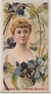Clématite : Beauté mentale, de la série Beautés florales et langage des fleurs N75 - Donaldson Brothers