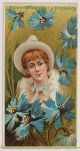 Bleuet : Modestie, de la série Beautés florales et langage des fleurs N75 pour Duk..., 1892 - Donaldson Brothers