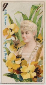 Giroflée : Beauté impérissable, de la série Beautés florales et langage des fleurs N7 - Donaldson Brothers
