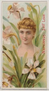 Narcisse : Amour de soi, de la série Beautés florales et langage des fleurs N75 pour Du..., 1892