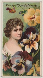 Pensée : Réflexion, de la série Beautés florales et langage des fleurs N75 pour D..., 1892 - Donaldson Brothers
