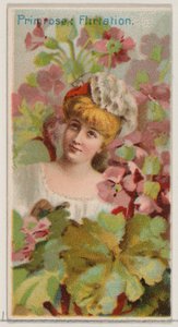 Primevère : Flirtation, de la série Beautés florales et langage des fleurs N75 pour Du..., 1892 - Donaldson Brothers