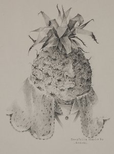 Ananas - Donatella Merlo