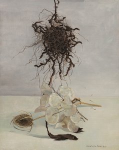 Racine - Donatella Merlo