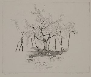 Le pommier - Donatella Merlo
