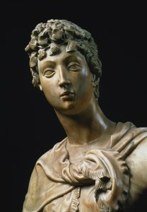 David, détail de la tête (détail)