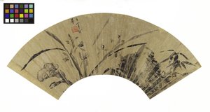 Orchidées, champignon et roche, 17ème siècle