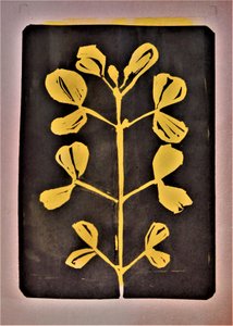 Forme botanique dorée - Doris Schmitz