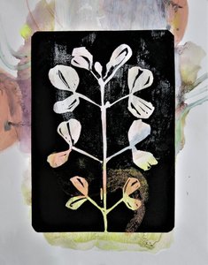 Étude botanique au pastel