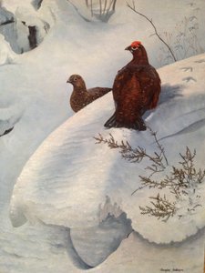 Tétras dans la neige, vers 1985 (huile sur toile) - Douglas Anderson