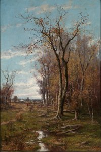 Paysage d