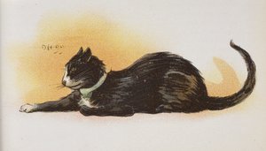 Un chat
