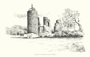 Ruines de Brambletye House - Duncan Moul